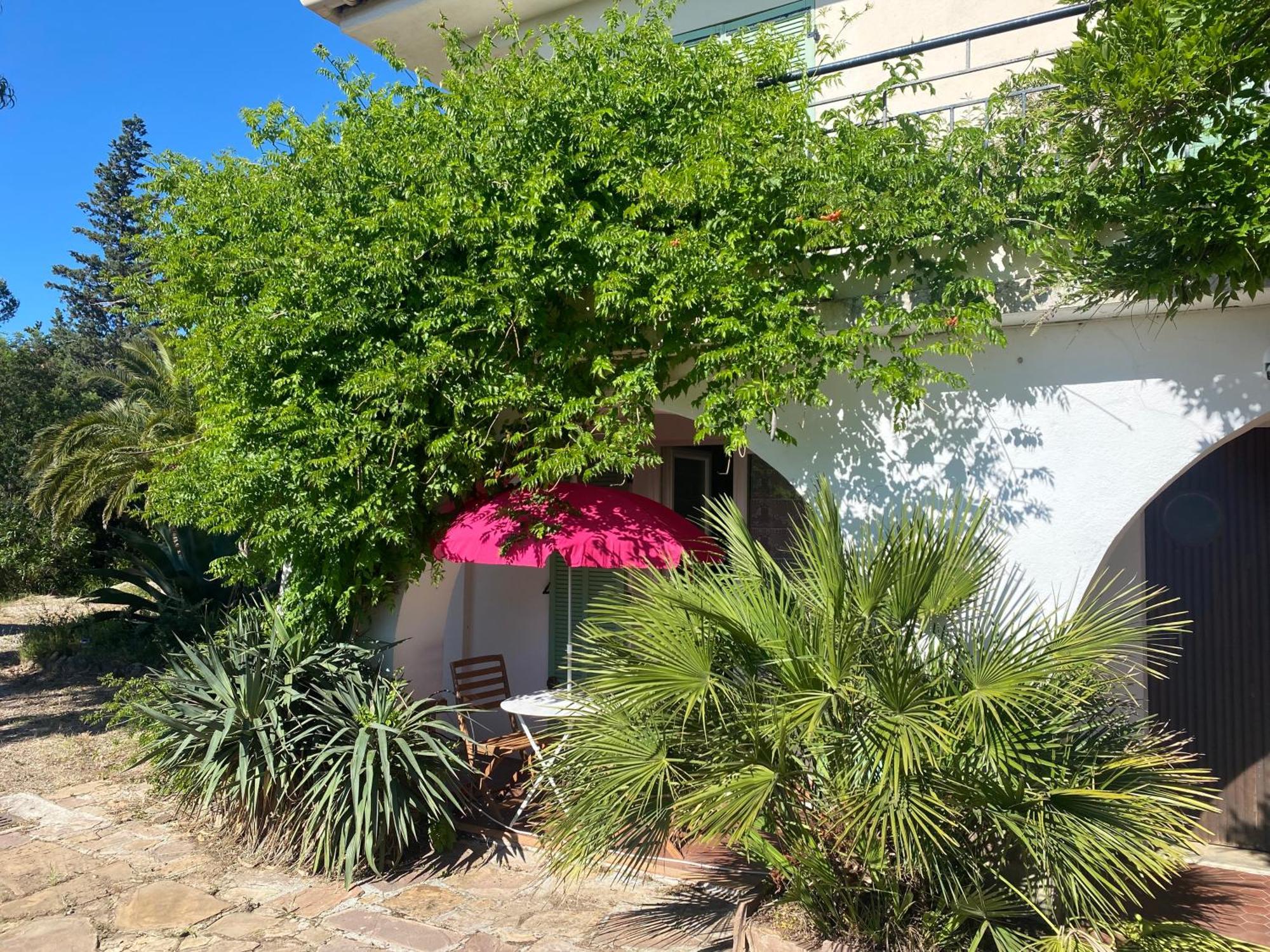 Chez Madou, T1 En Bas De Villa Et Rez De Jardin A 900M De La Mer Et Des Commerces Fréjus Extérieur photo